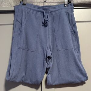 ALO Soho Sweatpants Bluestone (perfect condition)